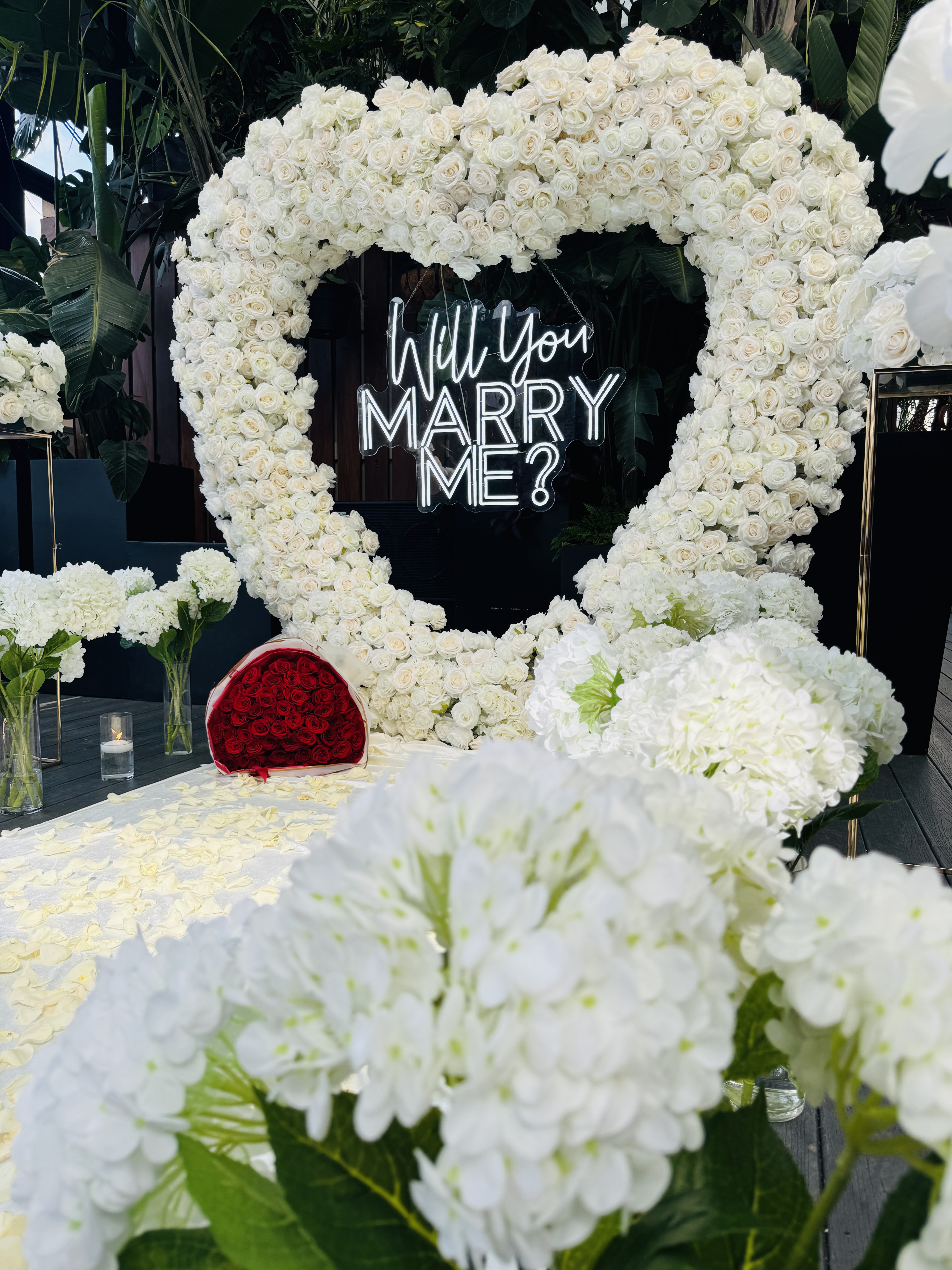 Backdrop rental preview